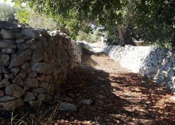 Rustico C.DA PIANI, Scicli - foto 11