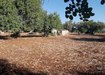 Rustico C.DA PIANI, Scicli - foto 12