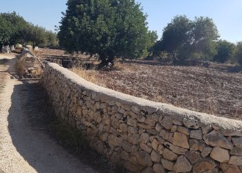 Rustico C.DA PIANI, Scicli - foto 13