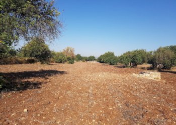 Rustico C.DA PIANI, Scicli - foto 14