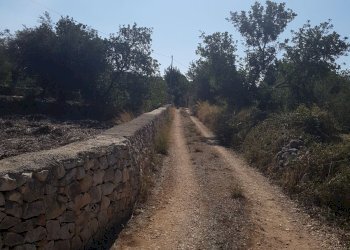 Rustico C.DA PIANI, Scicli - foto 15