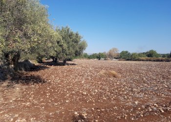 Rustico C.DA PIANI, Scicli - foto 16