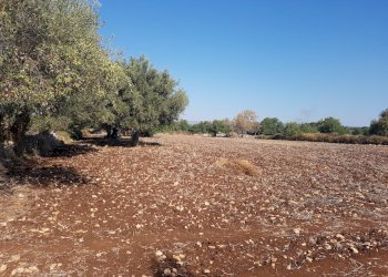 Rustico C.DA PIANI, Scicli - foto 17