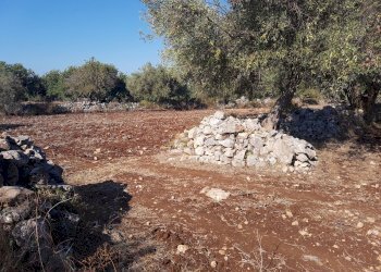 Rustico C.DA PIANI, Scicli - foto 18