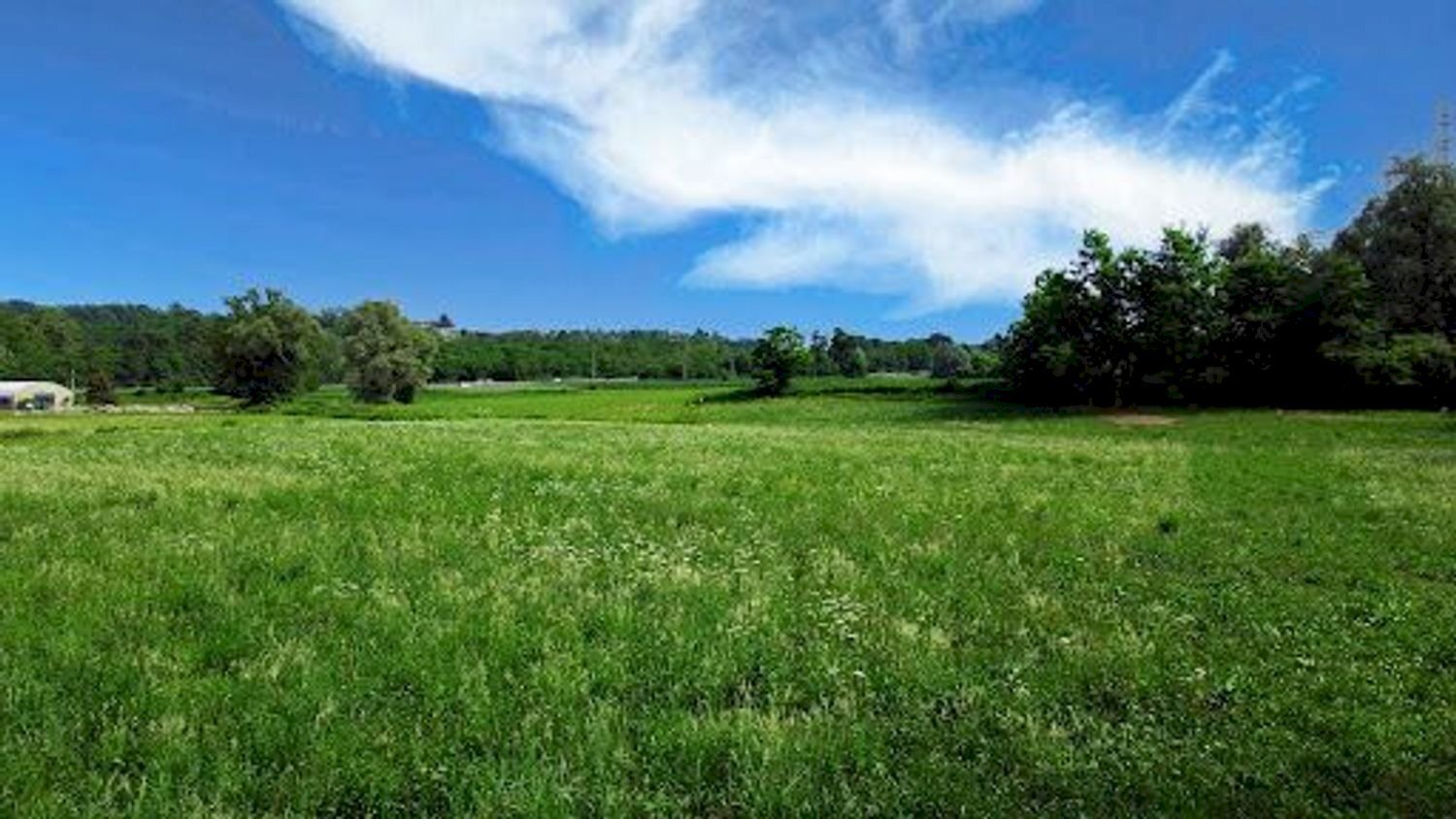 Foto 3 - Terreno agricolo bertoletto, Lonato del Garda - foto 3