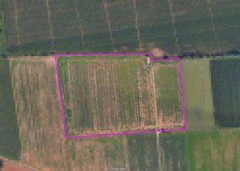 Foto 2 - Terreno agricolo bertoletto, Lonato del Garda - foto 2