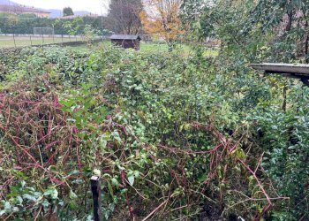 giardino - Rustico Repubblica, Rezzato - foto 8