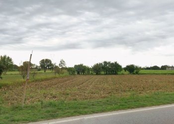 Foto 6 - Terreno agricolo trivellino, Lonato del Garda - foto 6