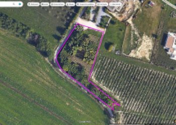 Foto 1 - Terreno agricolo Colli Storici, Desenzano del Garda - foto 1