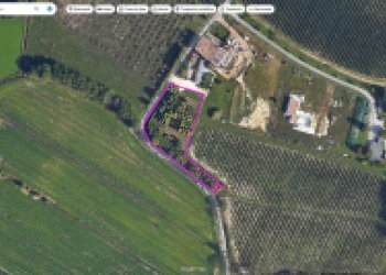 Foto 3 - Terreno agricolo Colli Storici, Desenzano del Garda - foto 3