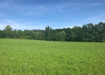 Foto 4 - Terreno agricolo Colli Storici, Desenzano del Garda - foto 4