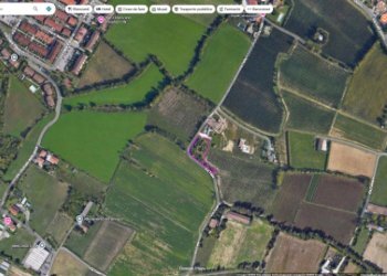 Foto 5 - Terreno agricolo Colli Storici, Desenzano del Garda - foto 5