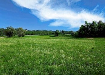 Foto 6 - Terreno agricolo Colli Storici, Desenzano del Garda - foto 6