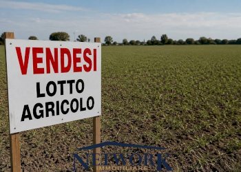 Foto 1 - Terreno agricolo Colli Storici, Desenzano del Garda - foto 1