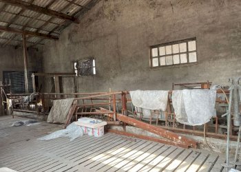 Foto 5 - Rustic VIA CASSETTA, Lonato del Garda - photo 5