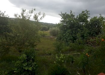 Rustico C.DA SAN GIOVANNI LO PIRATO, Scicli - foto 4