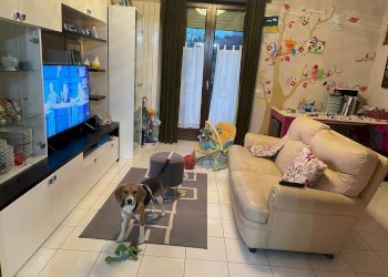 soggiorno - Attico 8 Marzo, Tolentino - foto 8