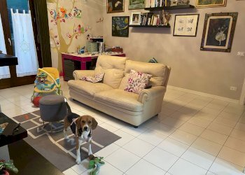 soggiorno - Attico 8 Marzo, Tolentino - foto 10