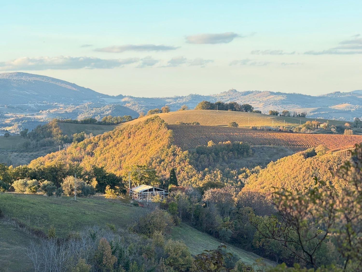 vista - Villa Colli
 
44, Serrapetrona - foto 3