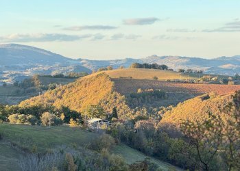 vista - Villa Colli
 
44, Serrapetrona - foto 3