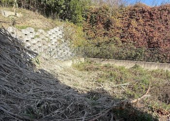 giardino - Appartamento Aldo Moro, Montecosaro - foto 26
