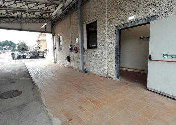 Foto 4 - Capannone via Adige, Fermo - foto 4