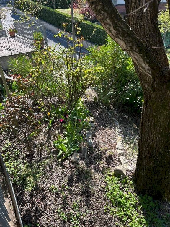 Giardino - Trilocale via Belvedere, 11, Monzuno - foto 2