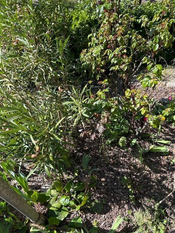 Terreno - Trilocale via Belvedere, 11, Monzuno - foto 3