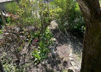 Giardino - Trilocale via Belvedere, 11, Monzuno - foto 2