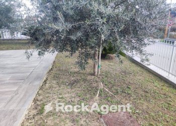 Giardino - Shop via del Villino, Alanno - photo 32