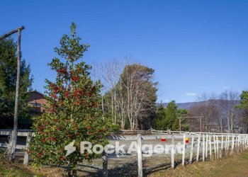 Terreno - Rustico Borgata Veneria, 36, Giaveno - foto 29