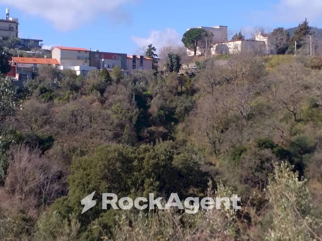 Vista - Terreno agricolo via Ettore Vitale, Catanzaro - foto 3