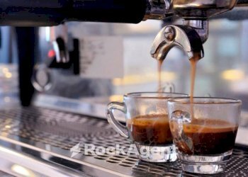 Altro - Bar Tavola Calda - Fredda via Venezia, 66, Pescara - foto 8