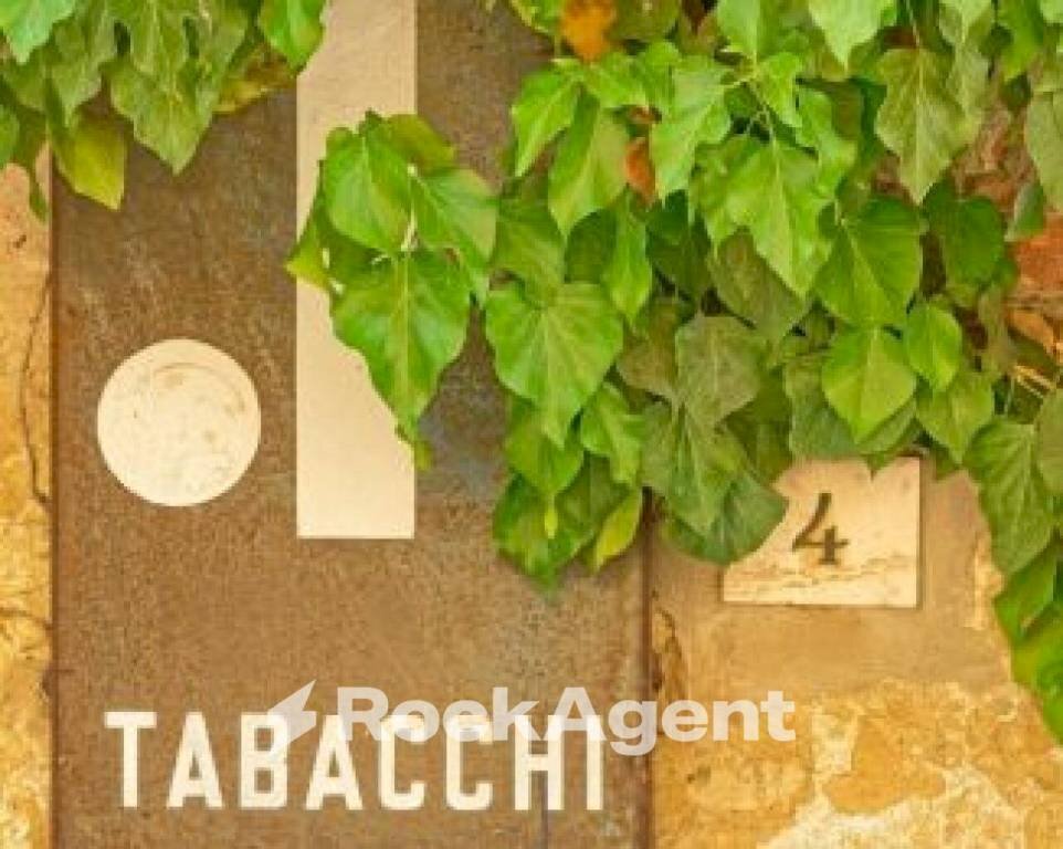 Altro - Bar - Tabacchi - Ricevitoria via Piovese, Padova - foto 3