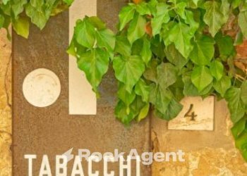 Altro - Bar - Tabacchi - Ricevitoria via Piovese, Padova - foto 3