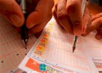 Altro - Bar - Tabacchi - Ricevitoria via Piovese, Padova - foto 5