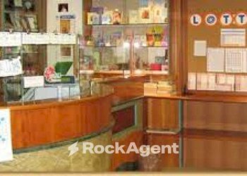 Veranda - Bar - Tabacchi - Ricevitoria via Piovese, Padova - foto 10