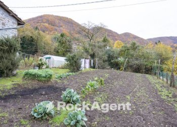 Terreno - Stabile - Palazzo Località Villa Regnano, Casola in Lunigiana - foto 10