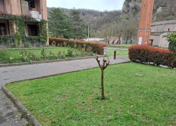 zone comuni - Two-room apartment Strada Valle 82, Medesano - photo 21