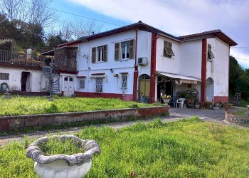 20260330_165643.jpg - Casa indipendente Vezzano Ligure - foto 1