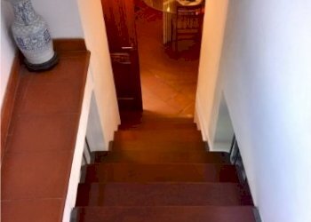 20250806_123015.jpg - Appartamento Luni - foto 15