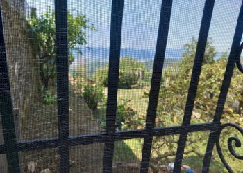 20250806_122542.jpg - Appartamento Luni - foto 16