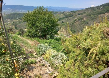 20250806_123404.jpg - Appartamento Luni - foto 25