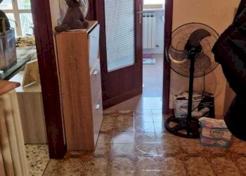 dettagli - Three-room apartment Via Sacchetti 9, Perugia - photo 11