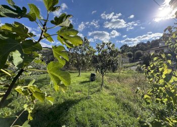 giardino - Villa Via del Bisenzio, Vernio - foto 5