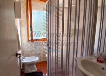 Bagno.jpg - Two-room apartment Rosignano Marittimo - photo 5