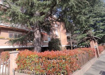 33.jpeg - Quadrilocale Via Giovanni Servais 178, Torino (zona Parella) - foto 2