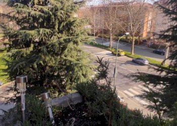 6.jpeg - Quadrilocale Via Giovanni Servais 178, Torino (zona Parella) - foto 29