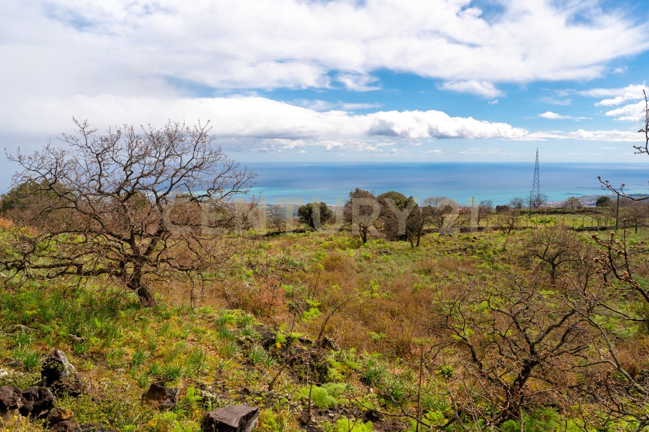 Villa con terreno (60).jpg - Building land Via Nocille 55, Mascali - photo 2