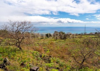 Villa con terreno (60).jpg - Building land Via Nocille 55, Mascali - photo 2